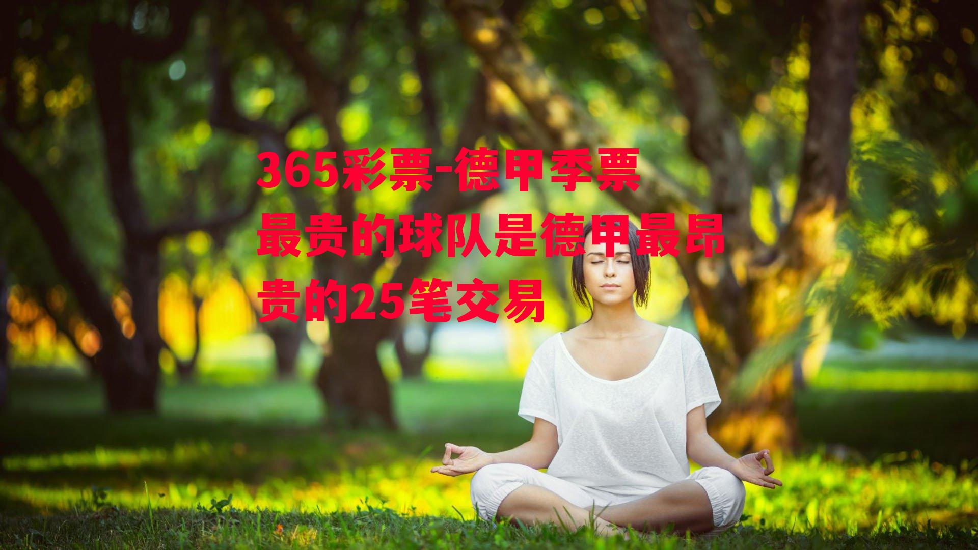 德甲季票最贵的球队是德甲最昂贵的25笔交易